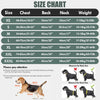 Size chart showing measurements for dog coats including chest, back, neck, and weight.