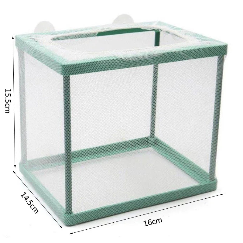 A clear, square aquarium fish breeding isolation box with a mesh top and bottom, featuring light green framing.