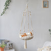 A bohemian macrame cat hammock bed for pet decor hangs on a wall, featuring a woven basket and a fluffy orange kitten.