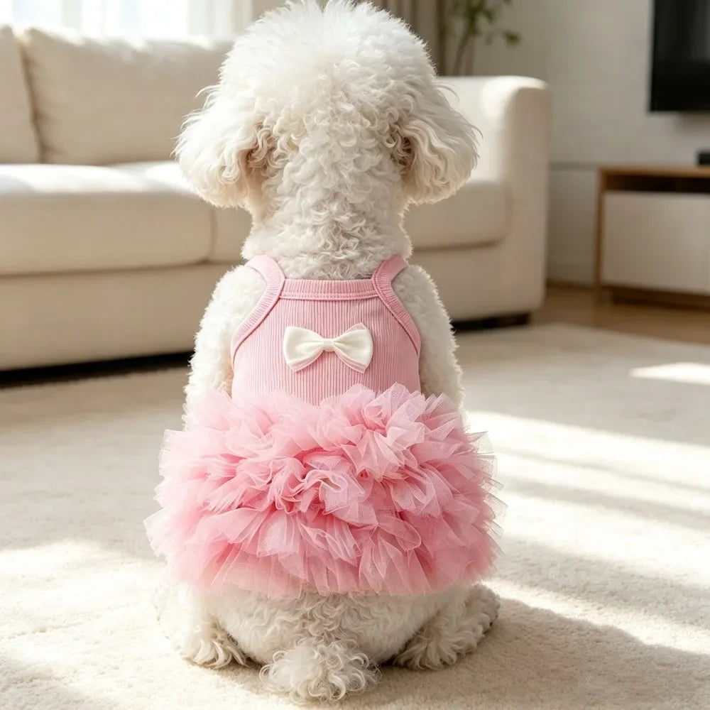 A white poodle wearing a pink suspender dog tutu dress sitting on a light carpet.