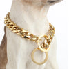 Gold Cuban link stainless steel dog collar with a large ring on a light-colored dog's neck.