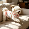 A fluffy white poodle wearing a red ruffled pet dress sitting on a light-colored sofa.