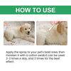 Instructions showing how to apply a pet skin care spray to a dog's bald area with a cotton swab.