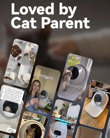 A collection of replacement cat litter mats and related products for an automatic litter box.