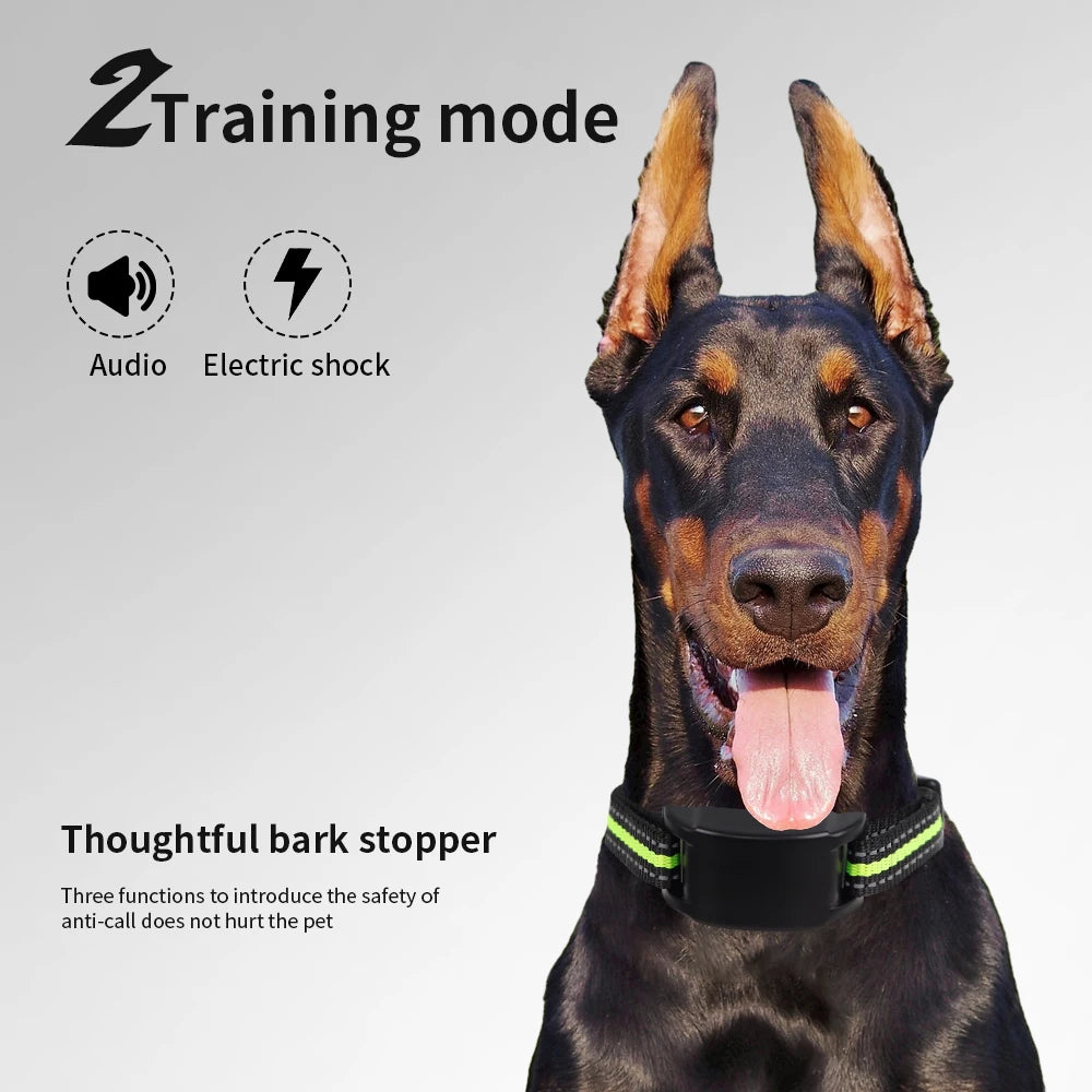 A German Shepherd wearing a black anti-bark training collar with a black mouthpiece and yellow accents.