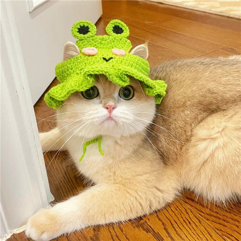 A fluffy white cat wearing a bright green knitted pet hat with pink accents, lying on a wooden floor.