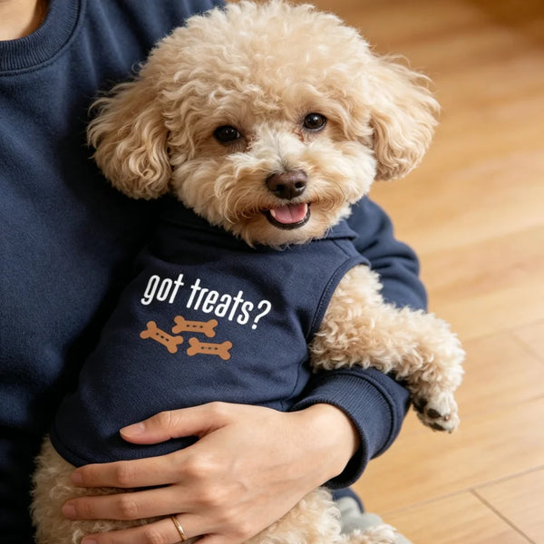 A person is holding a light brown poodle wearing a navy blue pet polo vest with the text got treats?