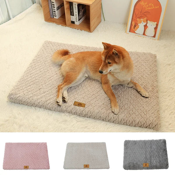 A close-up of an orthopedic memory foam pet bed with a washable faux fur cover, featuring light pink and gray options.