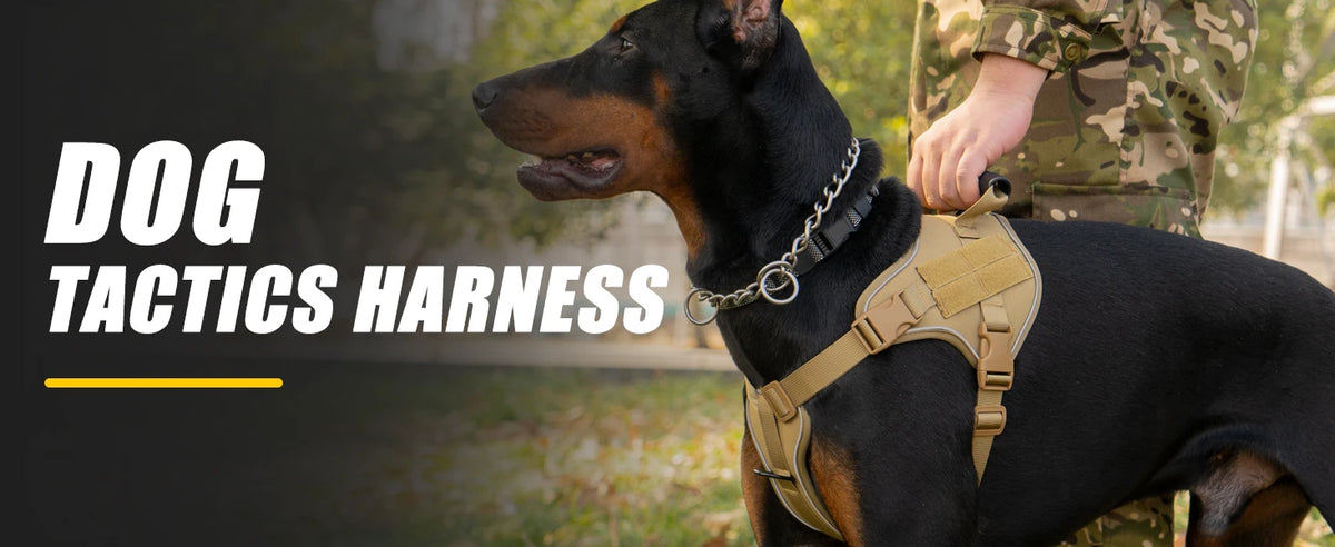 A black dog wearing a tan tactical harness outdoors, with a person in camouflage standing nearby.