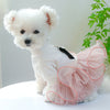 A fluffy white dog wearing a pink lace pet dress with ruffled layers.