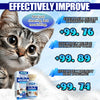 A bottle of PET Shower Gel for cats is shown with text indicating it effectively improves and reduces dandruff and itching.