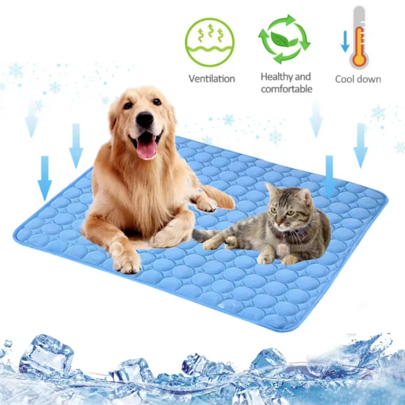 Ein goldener Retriever und eine tabby-Katze ruhen auf einer blauen Kühlmatte mit Symbolen für Belüftung, gesundes Wohlbefinde