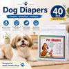 A package of Zicool dog diapers in a clear plastic container with a happy dog nearby.