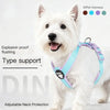 A white dog wearing a light blue harness with purple accents, demonstrating type support and adjustable neck protection.