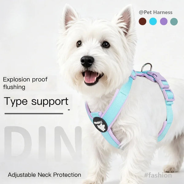 A white dog wearing a light blue harness with purple accents, demonstrating type support and adjustable neck protection.