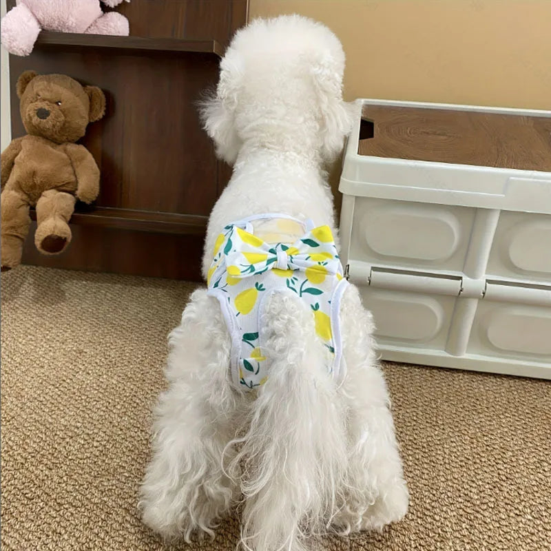 A fluffy white dog wearing yellow floral reusable diaper pants