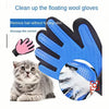 Blauer Silikon-Tierhaarbürste und Massagebürste neben einer Katzenpfote.