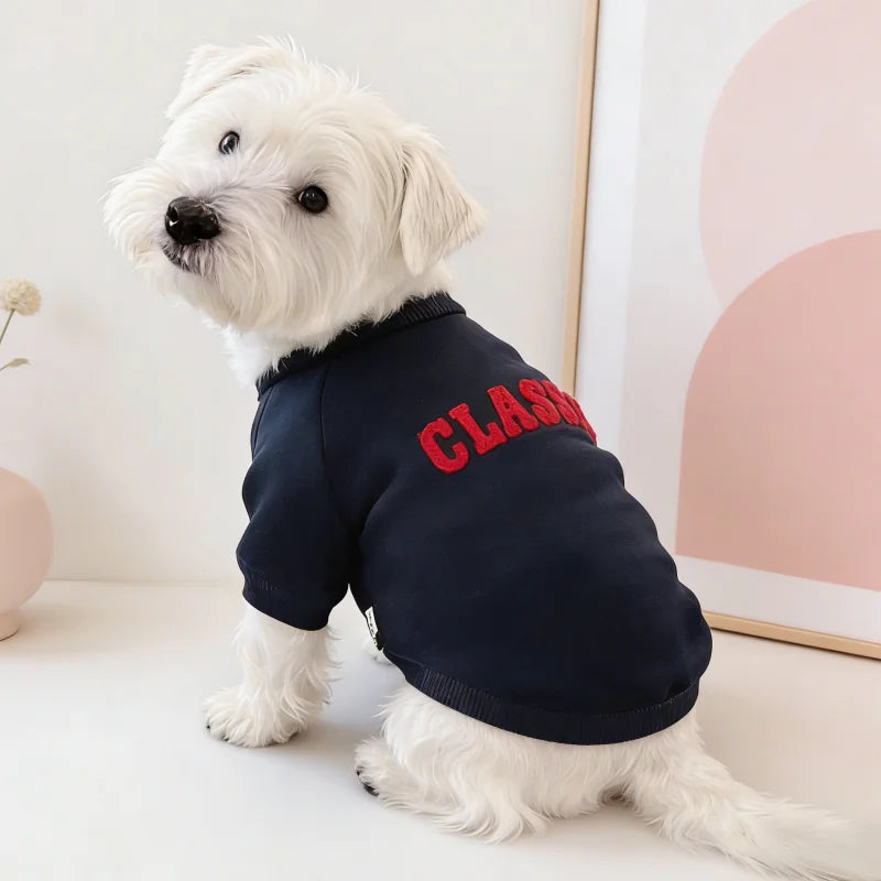 A white dog wearing a navy blue letter print hoodie with red text lying on a white surface.