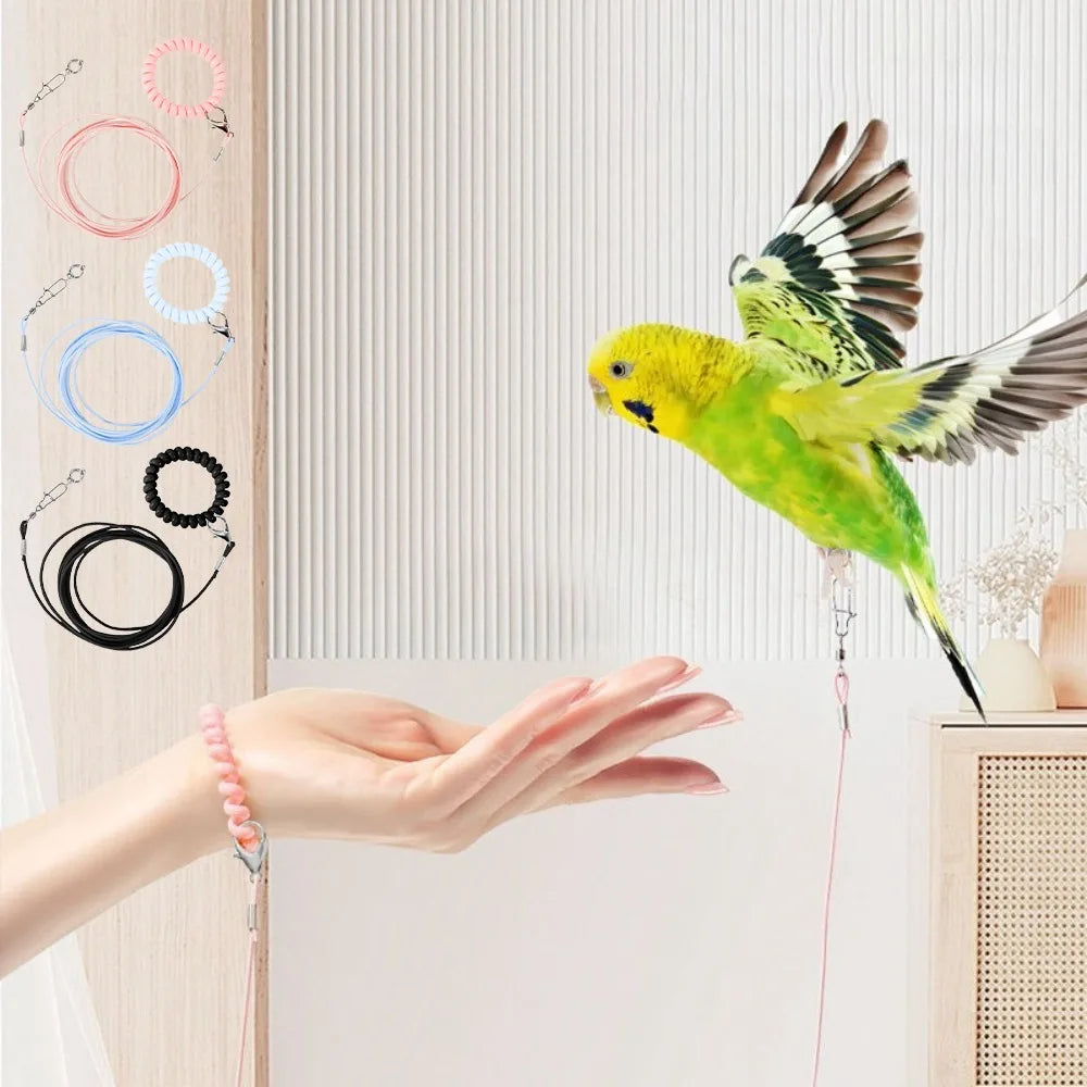 A hand is gently holding an adjustable parrot traction rope with various colored rings against a white background.