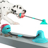 A white dog is interacting with a pink suction cup tug ball attached to a black cord.