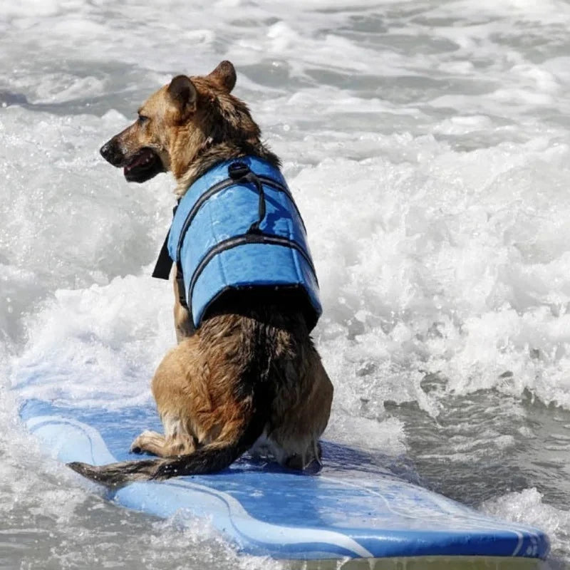 Un perro marrón con chaleco salvavidas azul montando una tabla de surf en agua agitada.