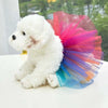 A fluffy white dog is sitting next to a sheer, multi-colored tulle tutu dress.