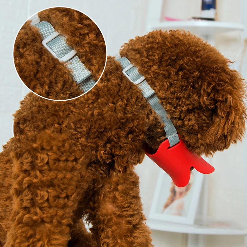 A close-up of a brown dog wearing a red muzzle with a gray strap, showing the muzzle's design.