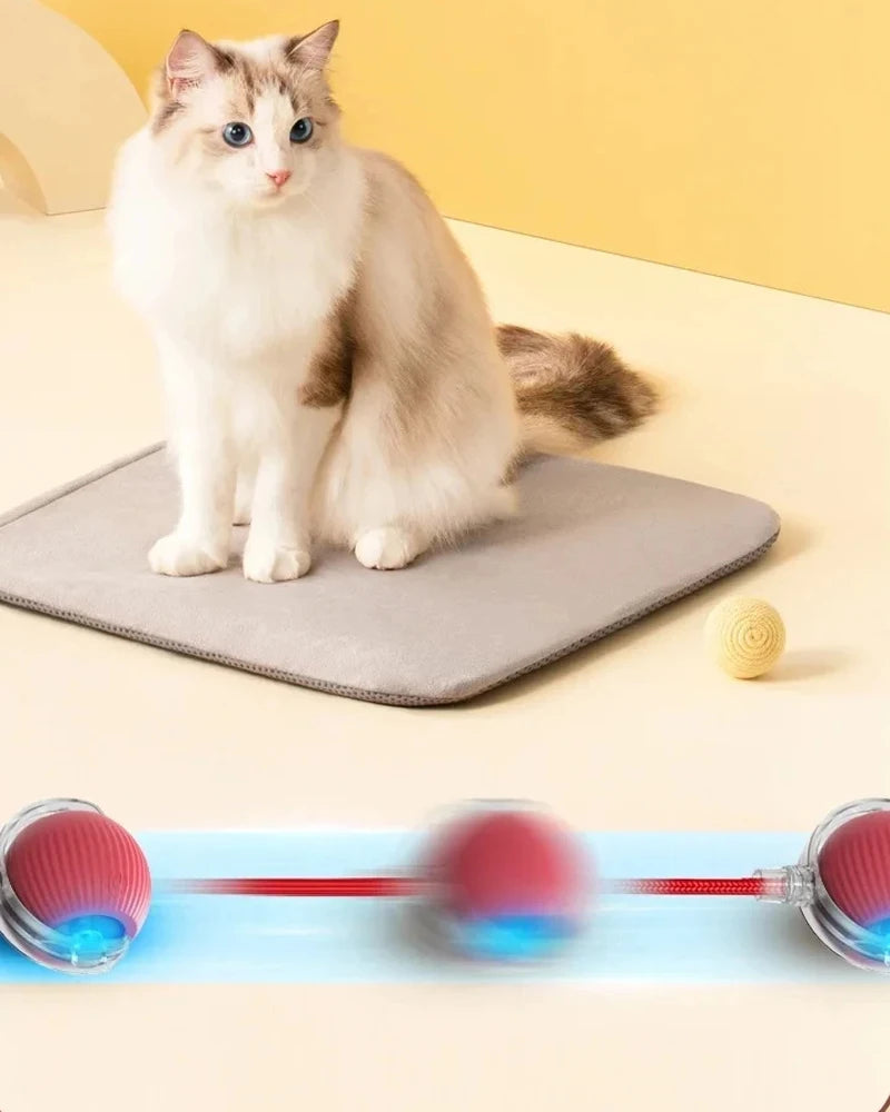 A fluffy white cat sits on a gray mat next to an interactive rechargeable toy ball with a motion sensor.