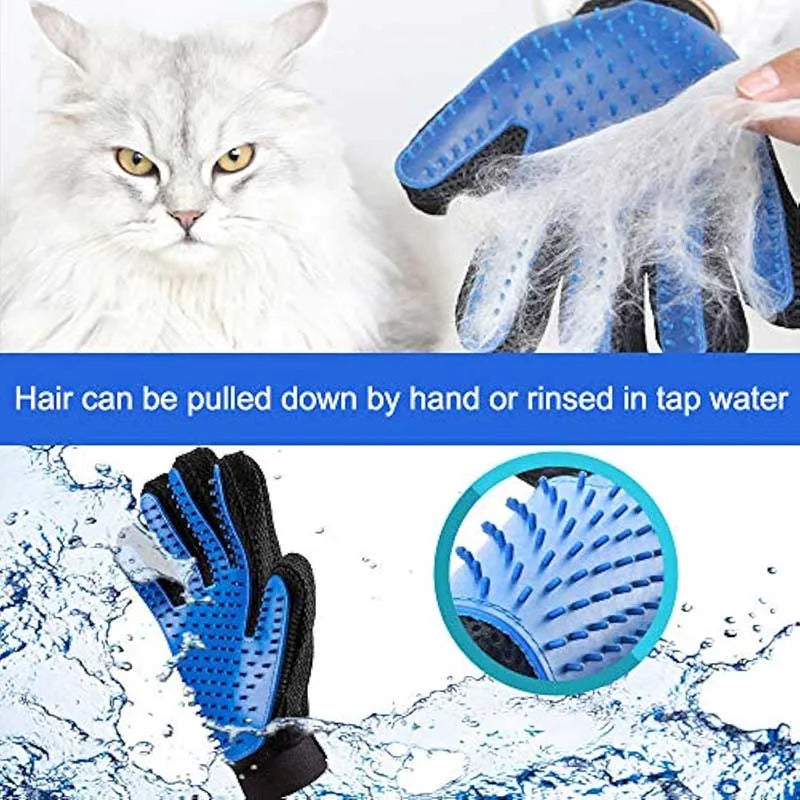 Blue and black pet grooming gloves used to remove hair from a cat's fur.