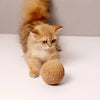 A fluffy ginger cat is positioned next to a round, woven sisal scratching ball.
