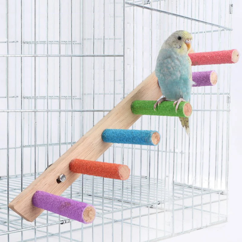 Mehrstufige Holzleiter mit bunten Zylindertieren in einem Drahtvogenkäfig.