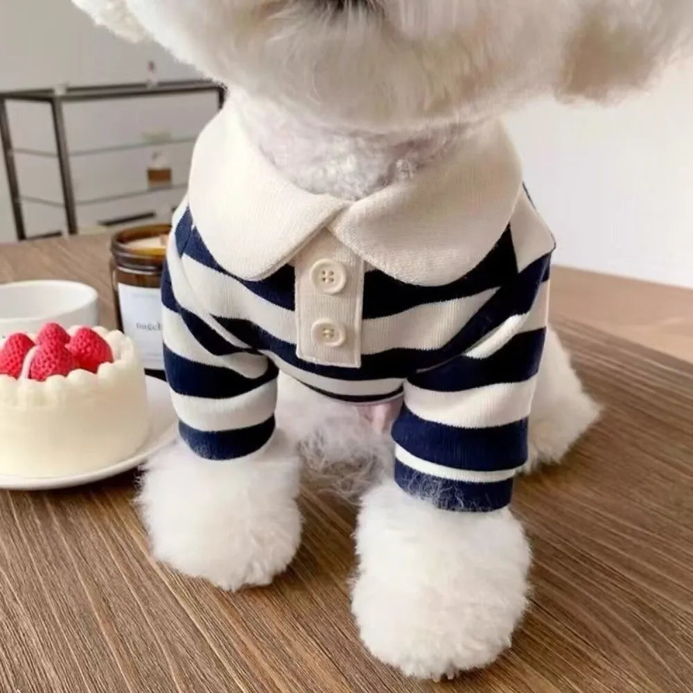 A fluffy white dog wearing a navy blue and white striped hoodie or vest.