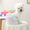 A fluffy white dog wearing an elegant birthday suit made of multicolored tulle fabric.