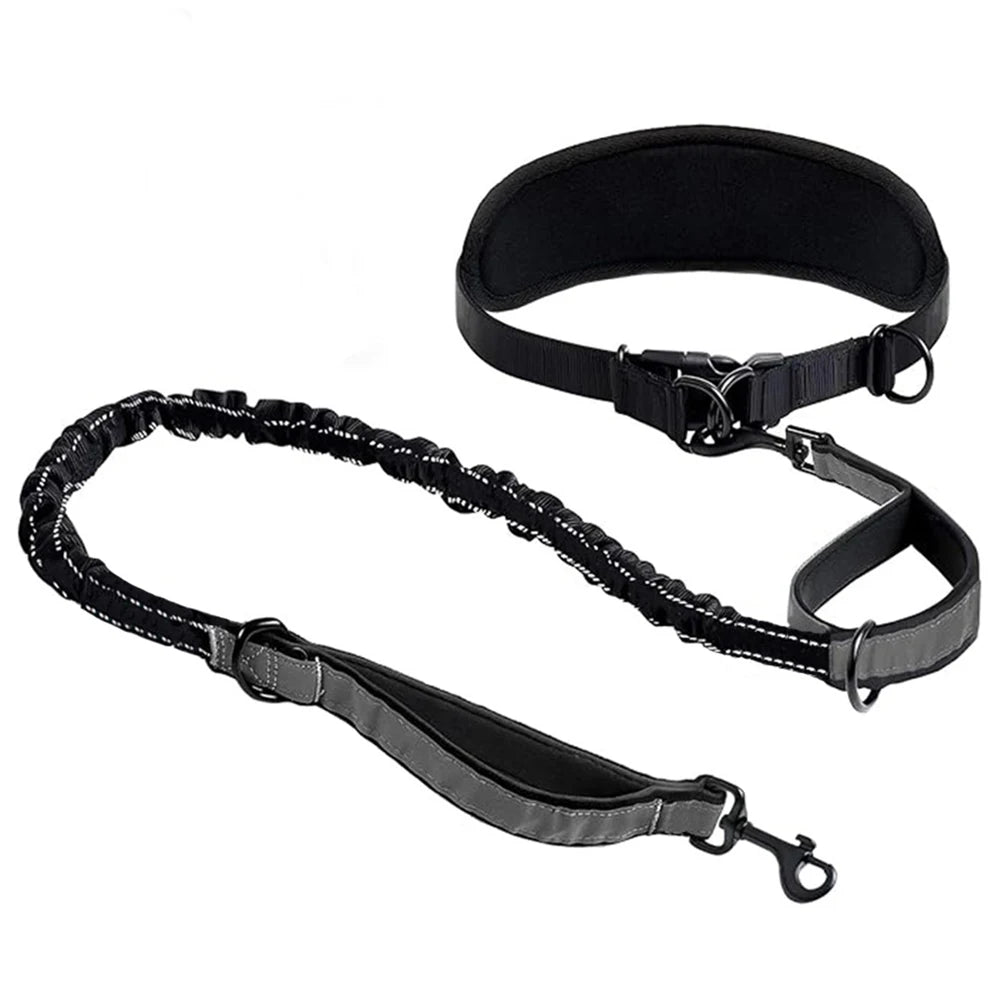 Black hands-free dog leash with a padded lumbar support belt for walking dogs.