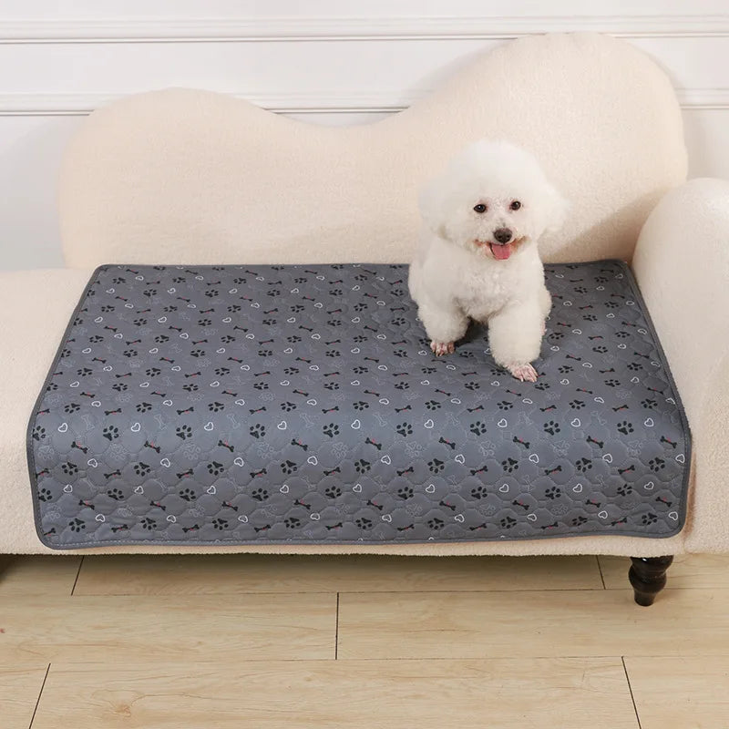 A fluffy white puppy sits on a gray pet pee pad placed on a light-colored sofa.