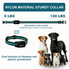 A nylon material sturdy collar with an adjustable length shown next to dogs.