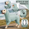 A light green dog raincoat is shown on a dog outdoors, highlighting features like back traction opening and flexible excretor