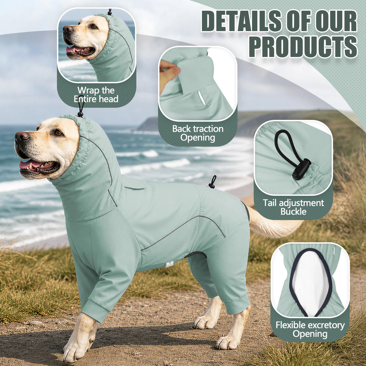 A light green dog raincoat is shown on a dog outdoors, highlighting features like back traction opening and flexible excretor