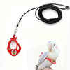 Rotes, verstellbares Papagei-Halter und Leine-Set mit schwarzem Seil neben einem weißen Haustiervogel.
