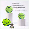 Balle pour l'entraînement de chien sans batterie, résistante à la mastication, vert lime, à côté d'un chien.