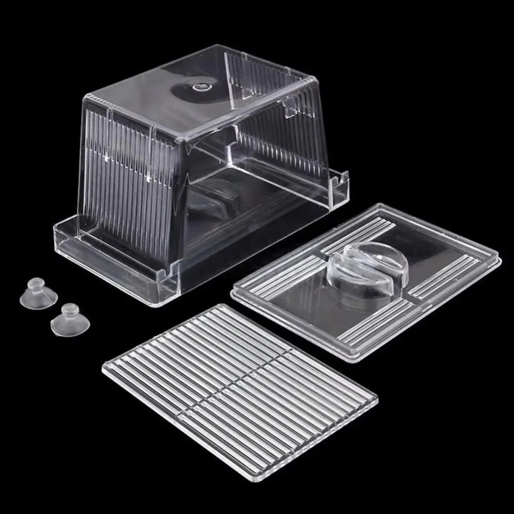 Clear acrylic fish breeding incubator with a lid and a separate tray for eggs.
