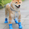Un chien brun clair portant un imperméable en plastique transparent avec des accents bleus, debout sur un trottoir.