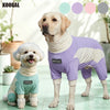 A golden retriever and a poodle wearing purple and beige cooling dog suits in a bright indoor setting.