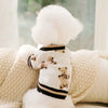 Suéter de perro tejido blanco con estampado de oso marrón y ribete negro, sobre una manta de color claro.