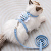 Un gato blanco vistiendo un arnés y correa azul claro ajustable, tumbado sobre un fondo claro.