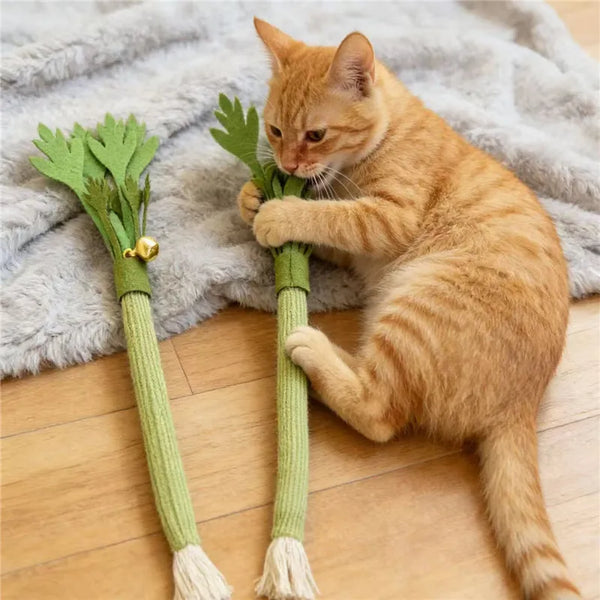 An orange tabby cat is interacting with a green catnip molar stick toy on a wooden floor.
