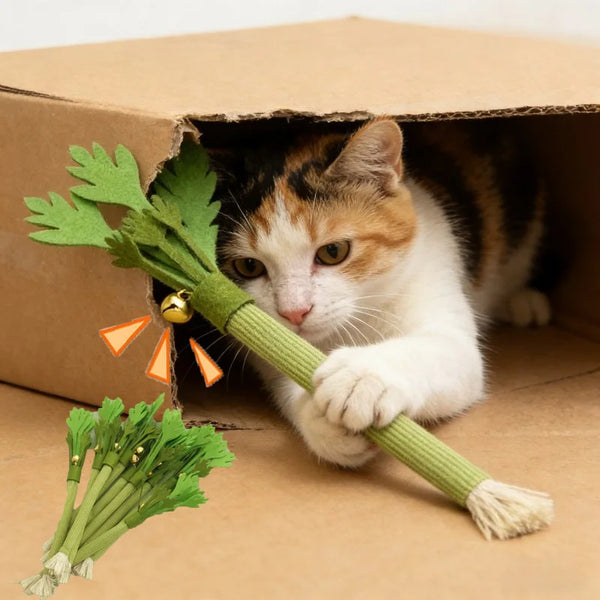 An orange and black tabby cat is holding a green catnip molar stick toy inside a cardboard box.