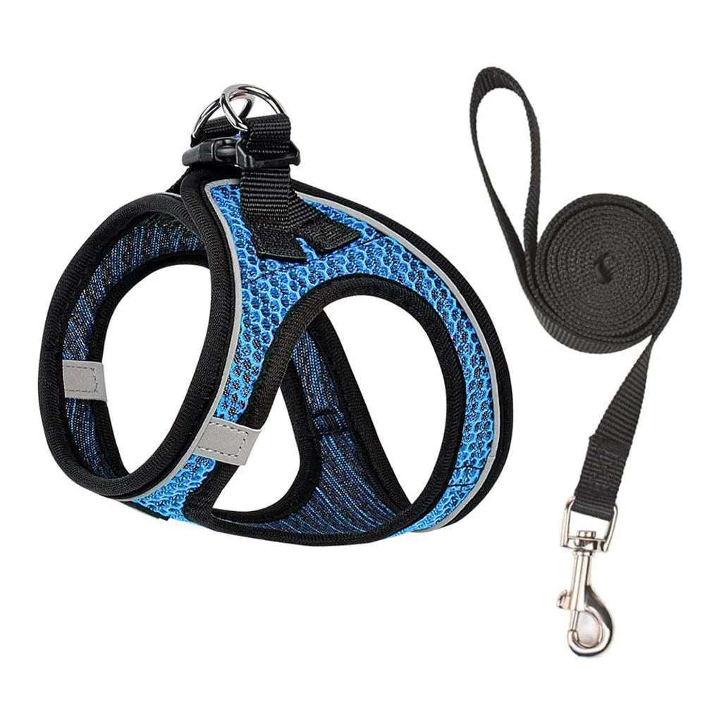 Harnais ajustable noir et bleu pour chiens et chats avec attache de laisse