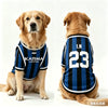 A golden retriever wearing a blue and black striped dog tank top for summer walks.