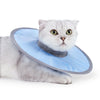 Un chat gris duveteux portant un collier de récupération vétérinaire bleu clair.